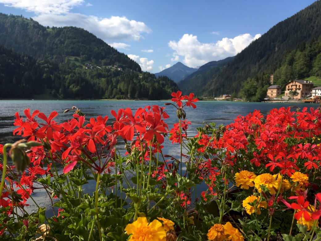 Lacul Alleghe jigsaw puzzle online