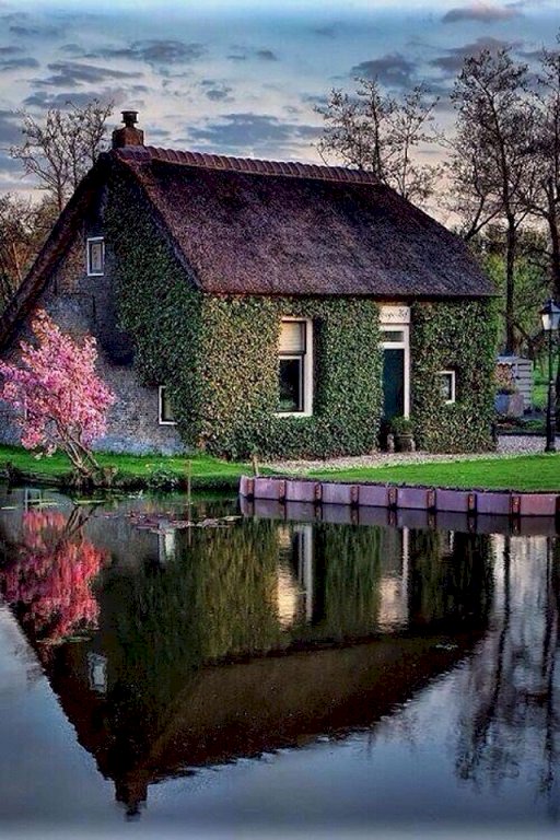 Cottage by the water. jigsaw puzzle online