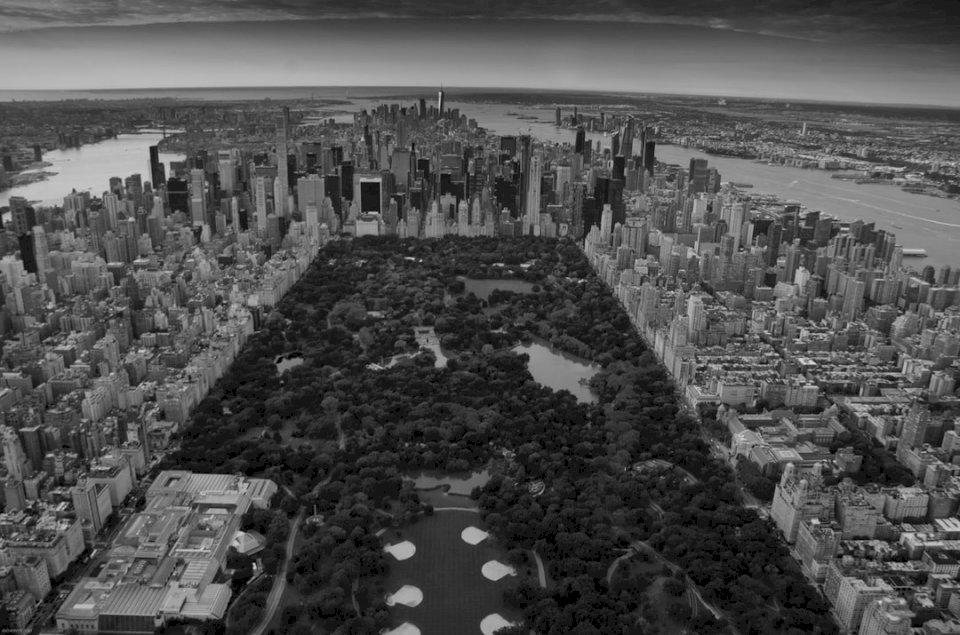O vedere deasupra Central Park jigsaw puzzle online