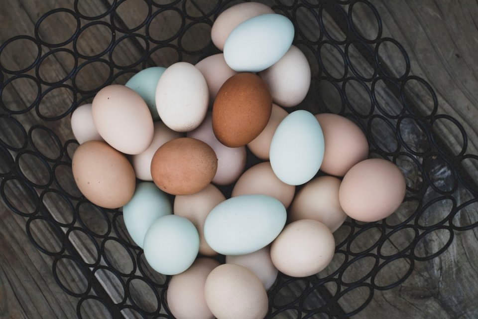 Αυγά ελευθέρας βοσκής παζλ online