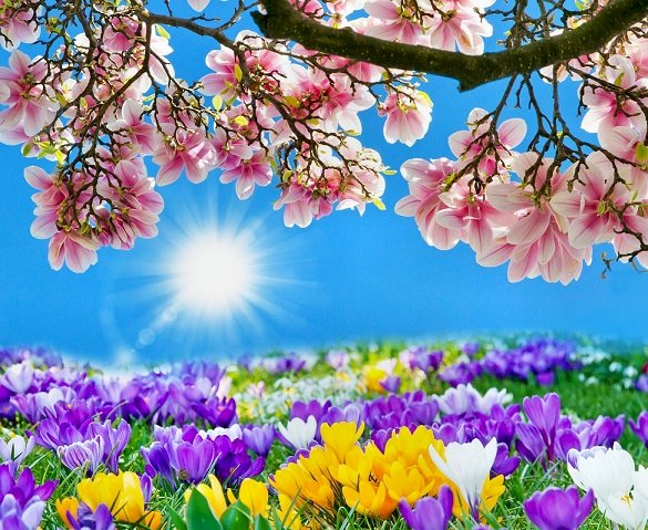 Квітуча весна. онлайн пазл