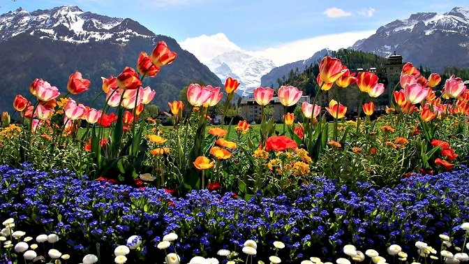 Βουνά, σύννεφα και λουλούδια. online παζλ