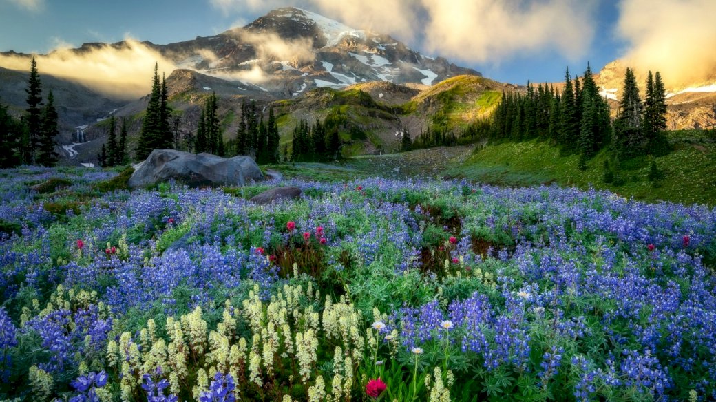 Meadow, flowers, Mountains online puzzle