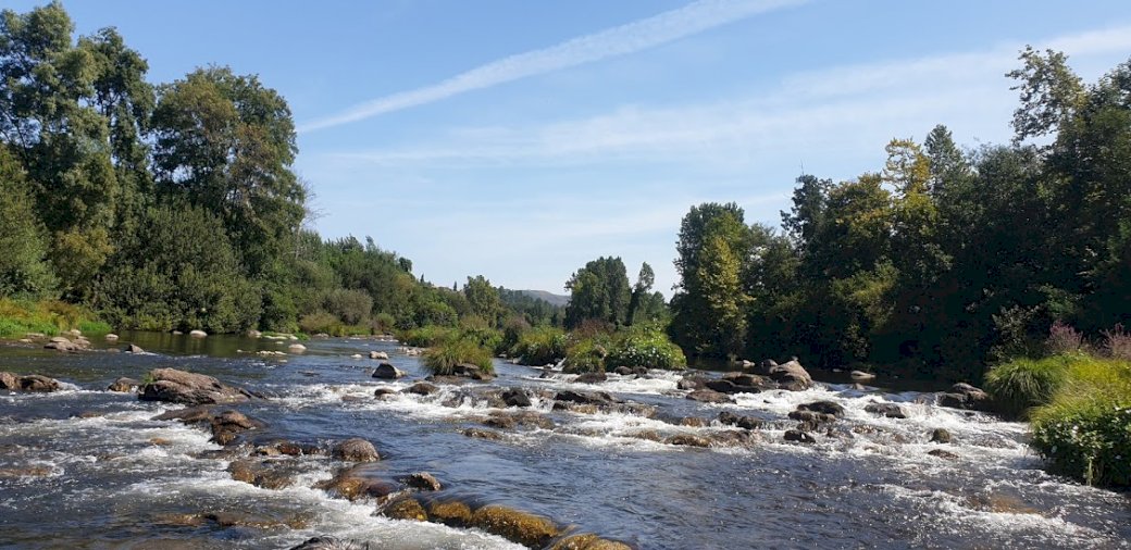 Rio Tamega, Amarante rompecabezas en línea