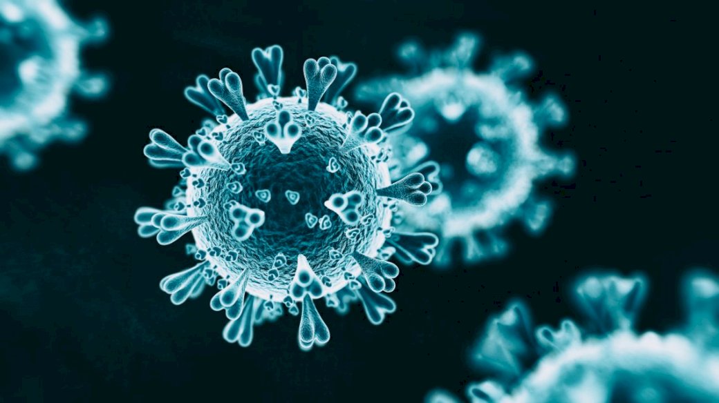 coronavirus pussel på nätet