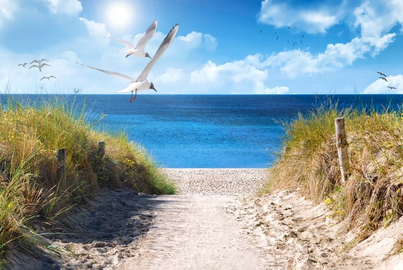 By the Baltic Sea. jigsaw puzzle online