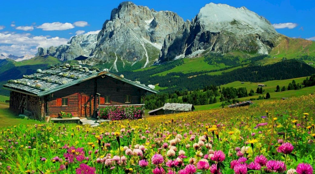 Cottage, meadow, mountains online puzzle