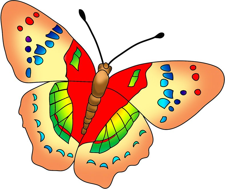 motýl skládačky online