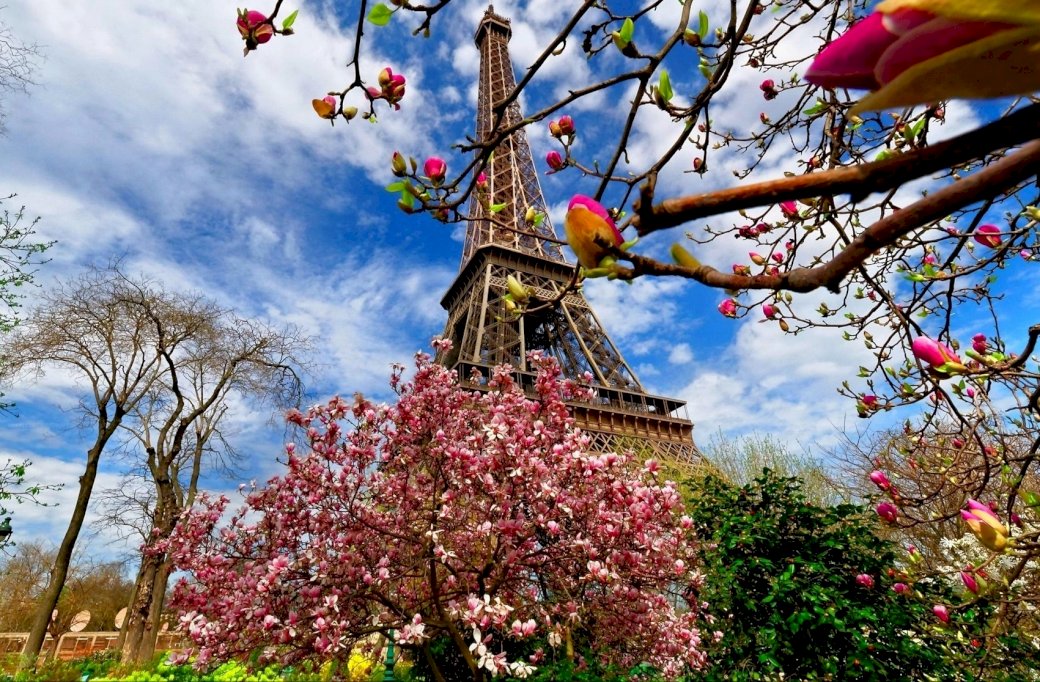 Tavaszi, fák, virágok, Eiffel-torony online puzzle