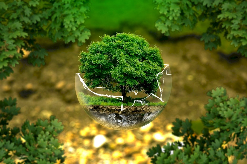 ekologické puzzle skládačky online