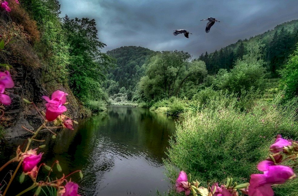 Bergen, rivier, bloemen, ooievaars legpuzzel online