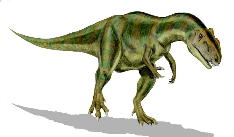 Αλλόσαυρος пазл онлайн