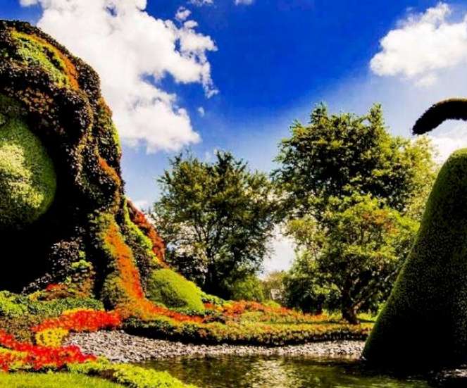 Arte y Naturaleza rompecabezas en línea