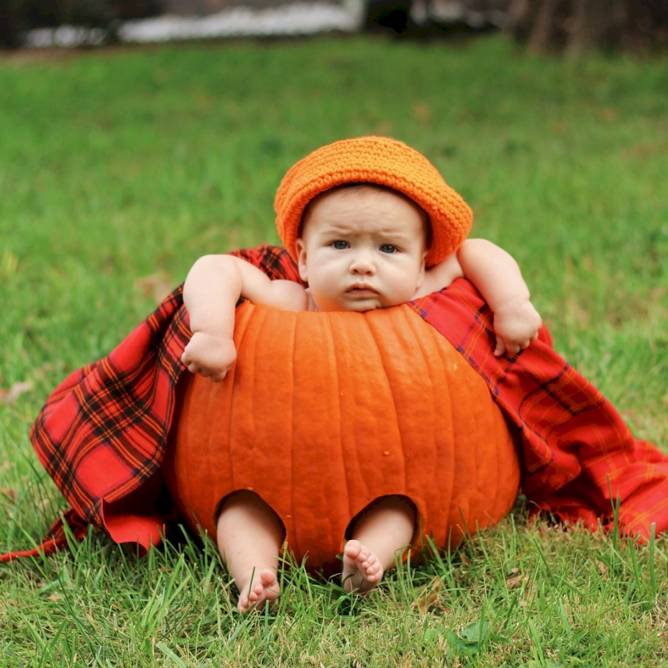 Baby in a pumpkin puzzle online
