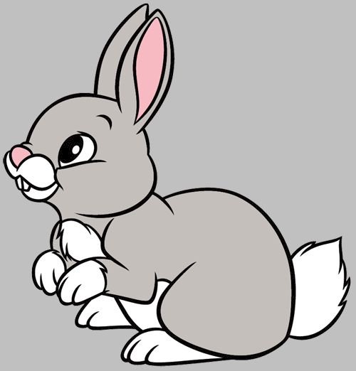 rabbit.pets онлайн пъзел