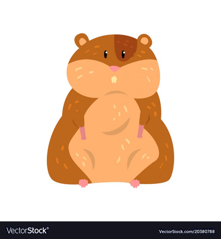 hamster.pets puzzle en ligne