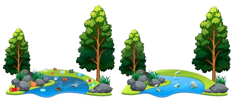 Clean river or dirty - ecology online puzzle
