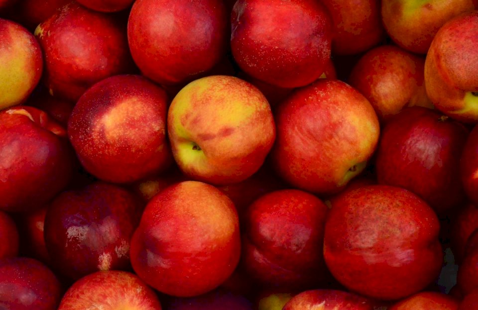 Manzanas rojas frescas rompecabezas en línea