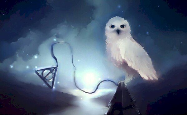Hedwig, dödliga hallows pussel på nätet