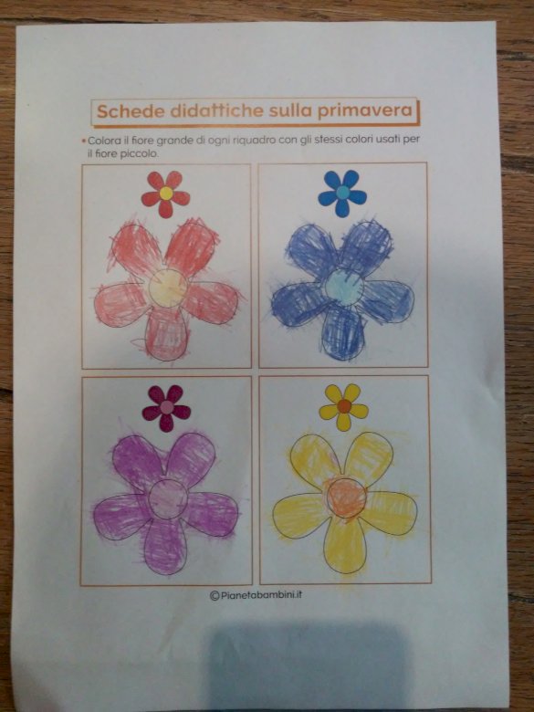quattro fiori colorati puzzle online