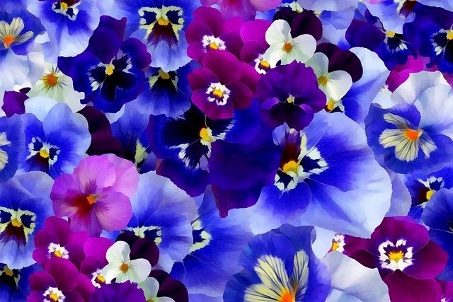 Kolorowe bratki kwiaty pussel på nätet