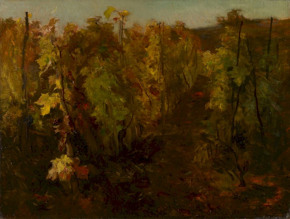 La Vigne [Виноградная лоза], пазл онлайн