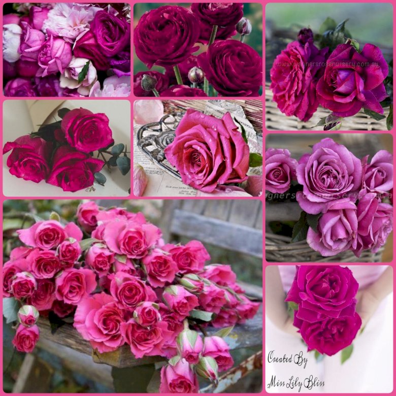 Trandafiri foarte frumoși puzzle online