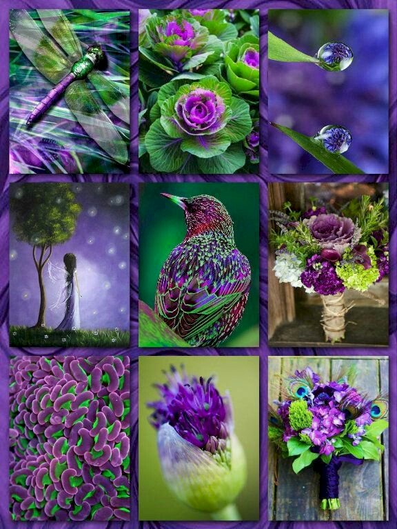 De jolies fleurs puzzle en ligne