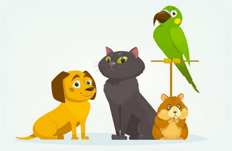 house pets jigsaw puzzle online