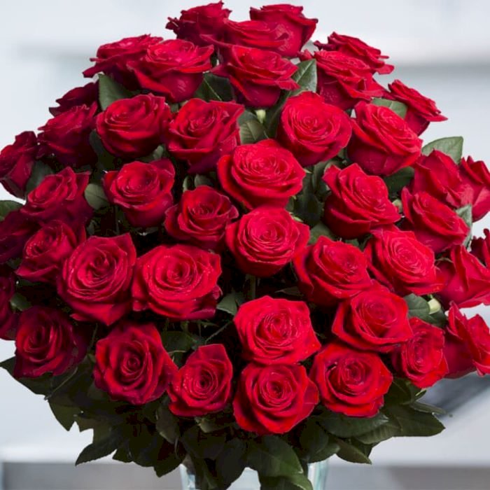 κόκκινα τριαντάφυλλα παζλ online
