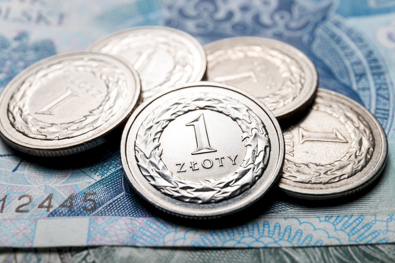 Πολωνικά νομίσματα παζλ online