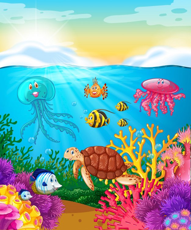 Tiere im Ozean Online-Puzzle