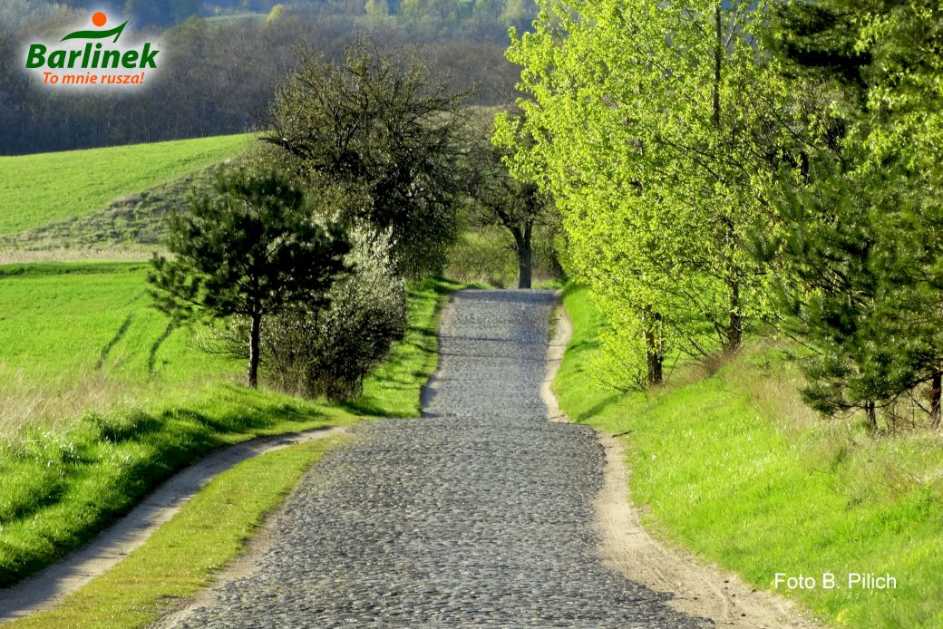 Sprookjesachtige weg in de sprookjesachtige Płonia-vallei online puzzel