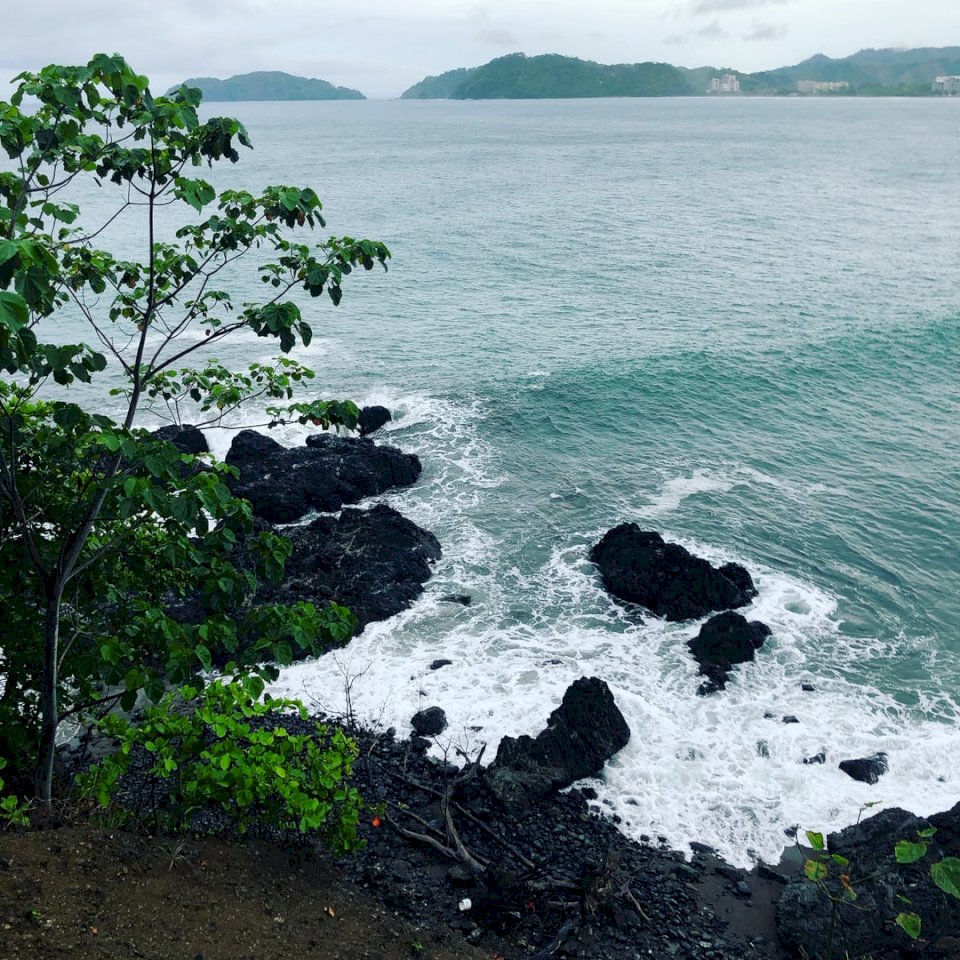 Stilla havet, Costa Rica, pussel på nätet