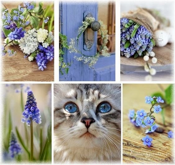 Flores azuis puzzle online