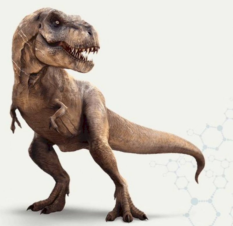 Spara al dinosauro puzzle online