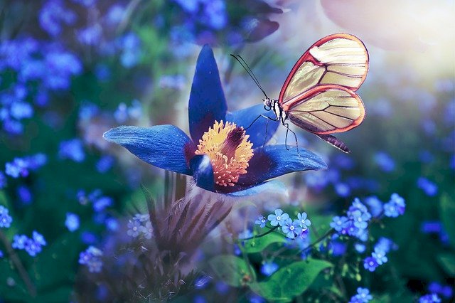Wiosenny motylek skládačky online