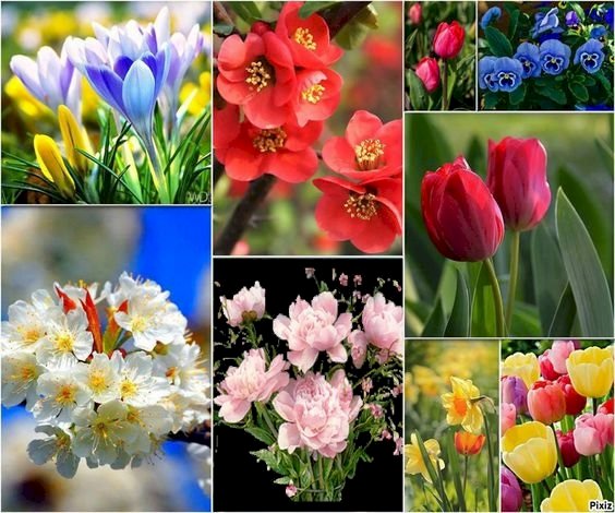 De belles fleurs puzzle en ligne