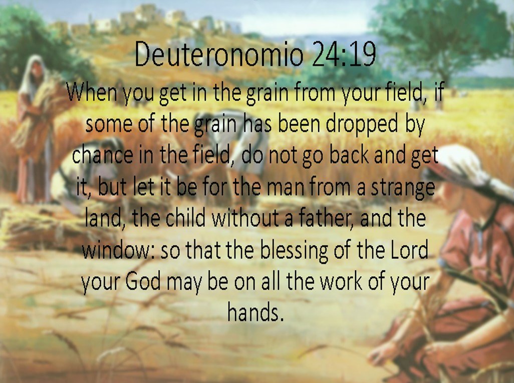 Deuteronomium 24:19 Puzzlespiel online