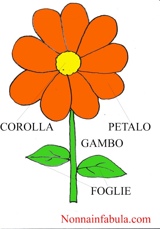 the parts of the flower jigsaw puzzle online