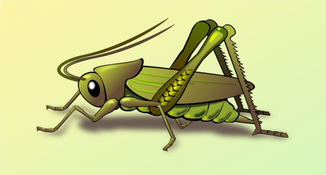 Kobylka skládačky online
