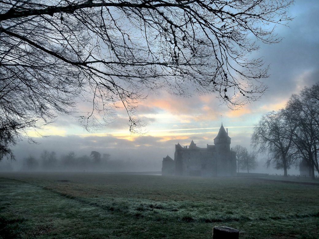 Замъкът La Brède в мъглата онлайн пъзел
