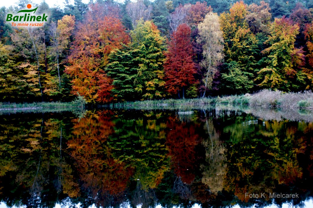 Езерце близо до Leśny Młyn - Barlinek онлайн пъзел