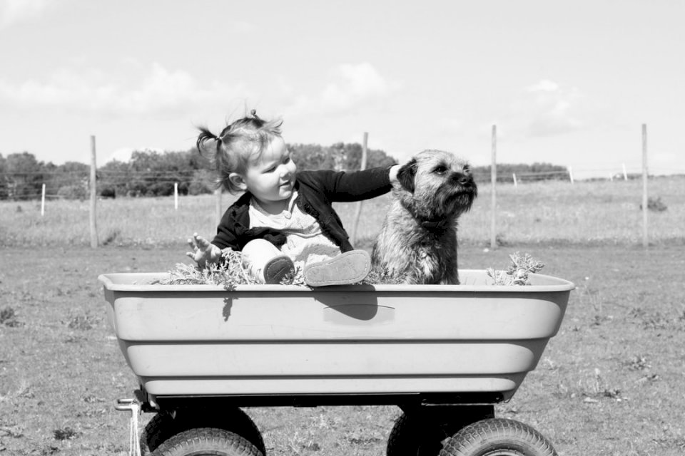 Thornbury småbarn och hund pussel på nätet