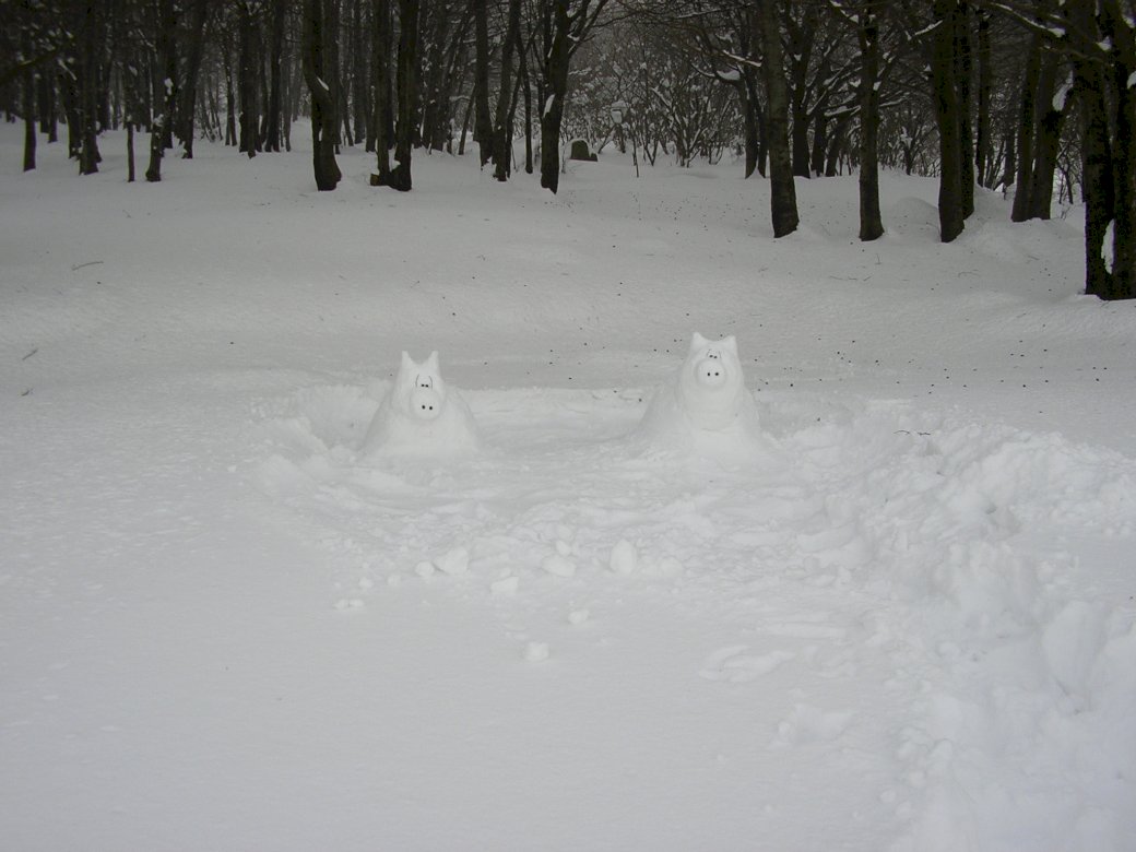 雪豚 ジグソーパズルオンライン