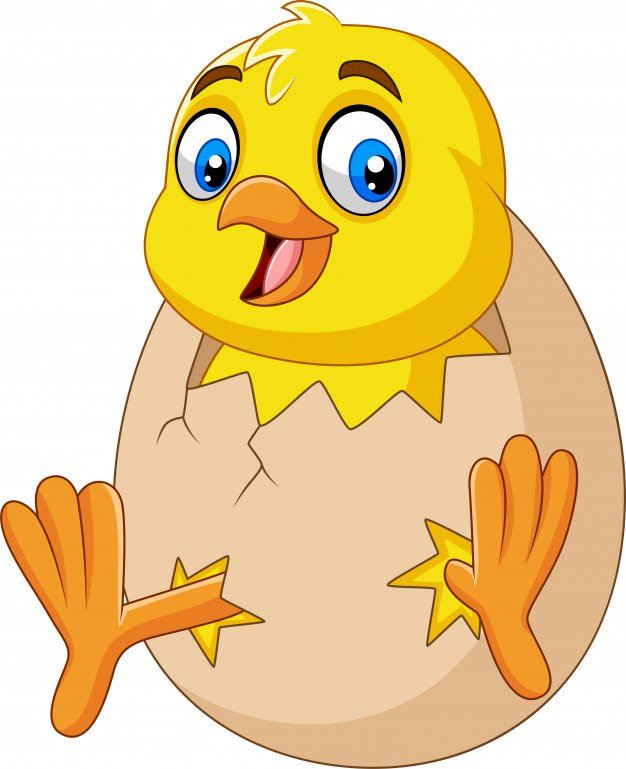 Chick Pio jigsaw puzzle online
