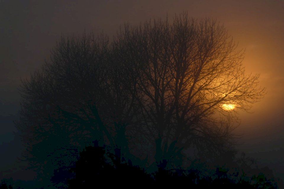 Soluppgång på en dimmig morgon Pussel online