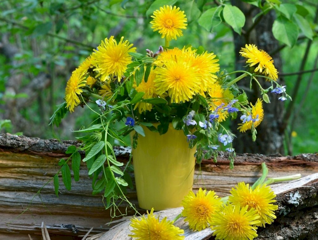 Цветы в вазе онлайн-пазл