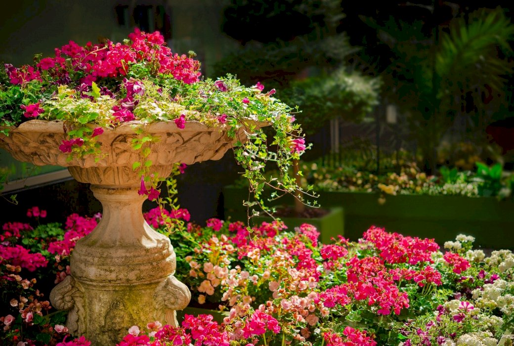 градина, пълна с цветя онлайн пъзел