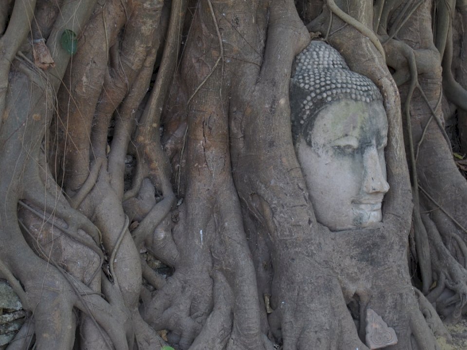 Rucksackreisen in Ayutthaya Online-Puzzle
